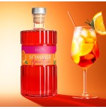 Bitter-Orangen Likör – Sommer Aperitivo | 17 % Vol.